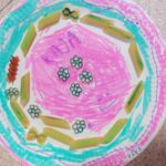 Makaronowe kompozycje Mądrych Sów