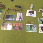 Materiały dydaktyczne użyte podczas warsztatów