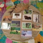 Materiały dydaktyczne użyte podczas warsztatów