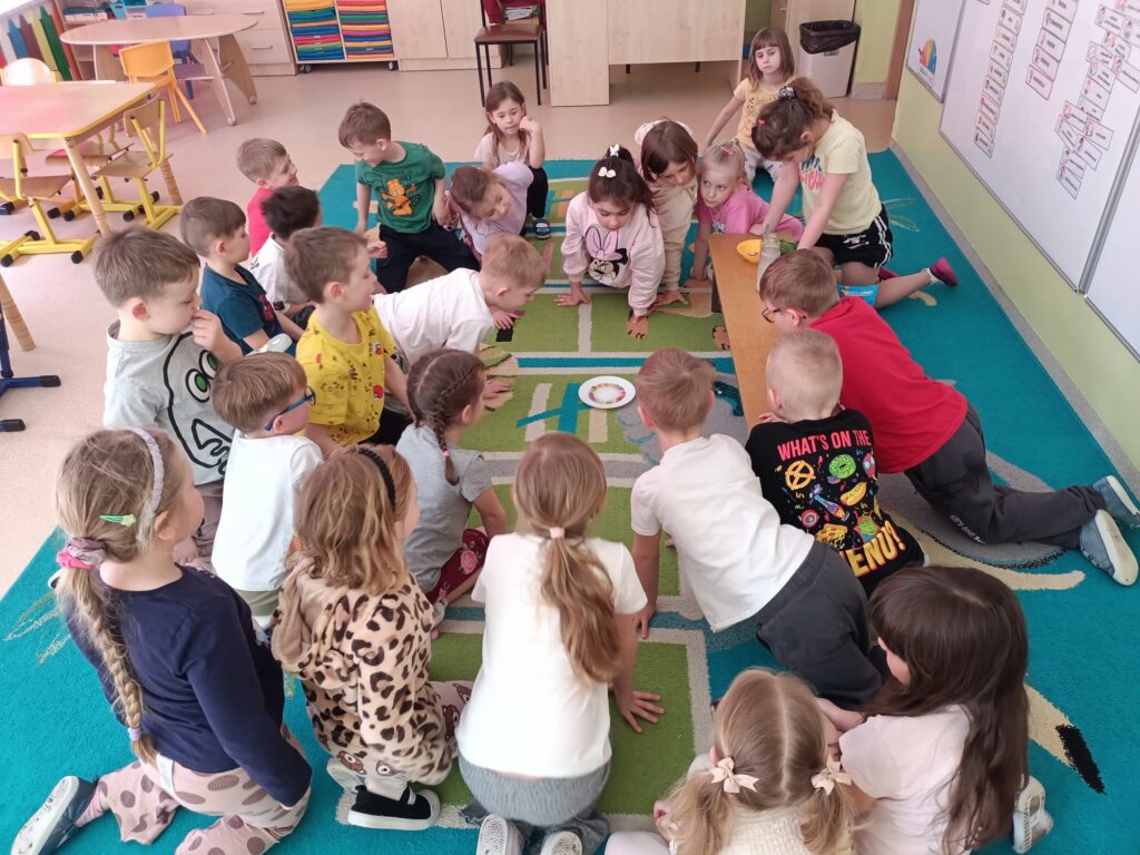 Mądre Sowy eksperymentują