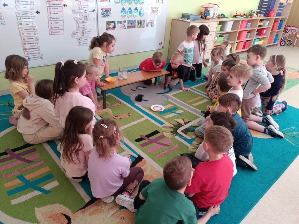 Mądre Sowy eksperymentują