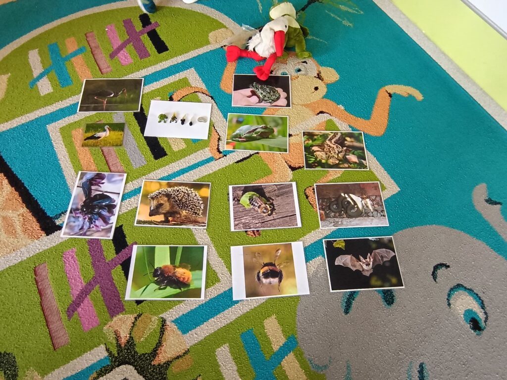 Fotografie zwierząt budzących się na wiosnę.