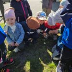 Przyrodnicze obserwacje u "Krasnoludków"