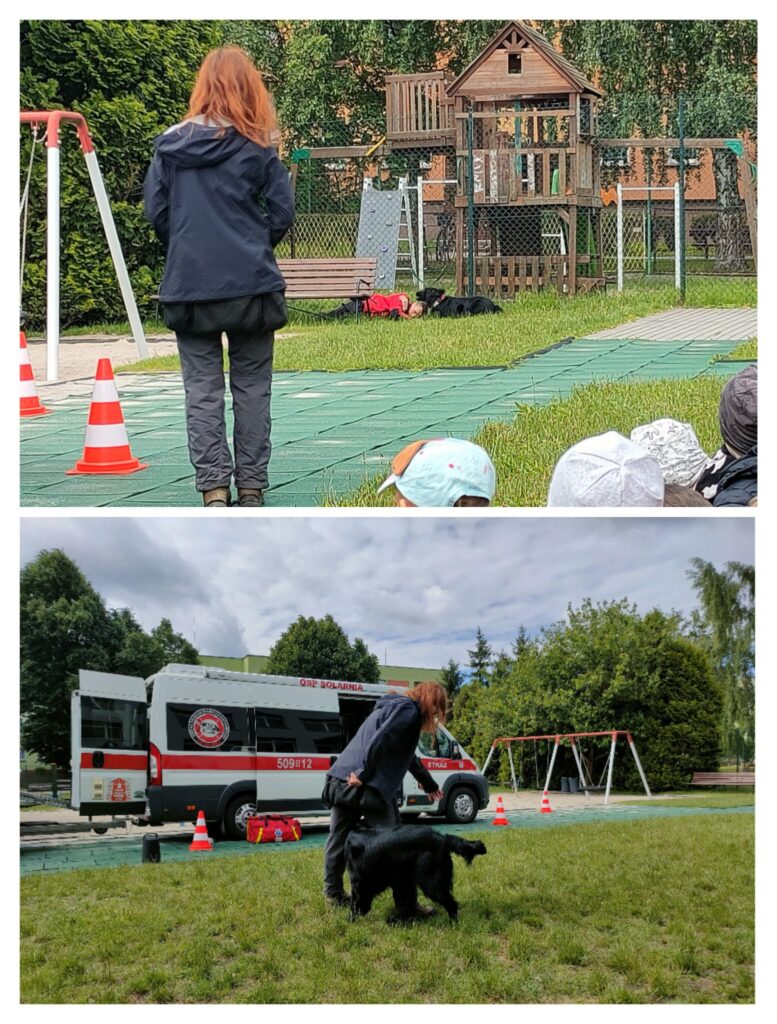 Psy prezentują swoje umiejętności poszukiwawcze.