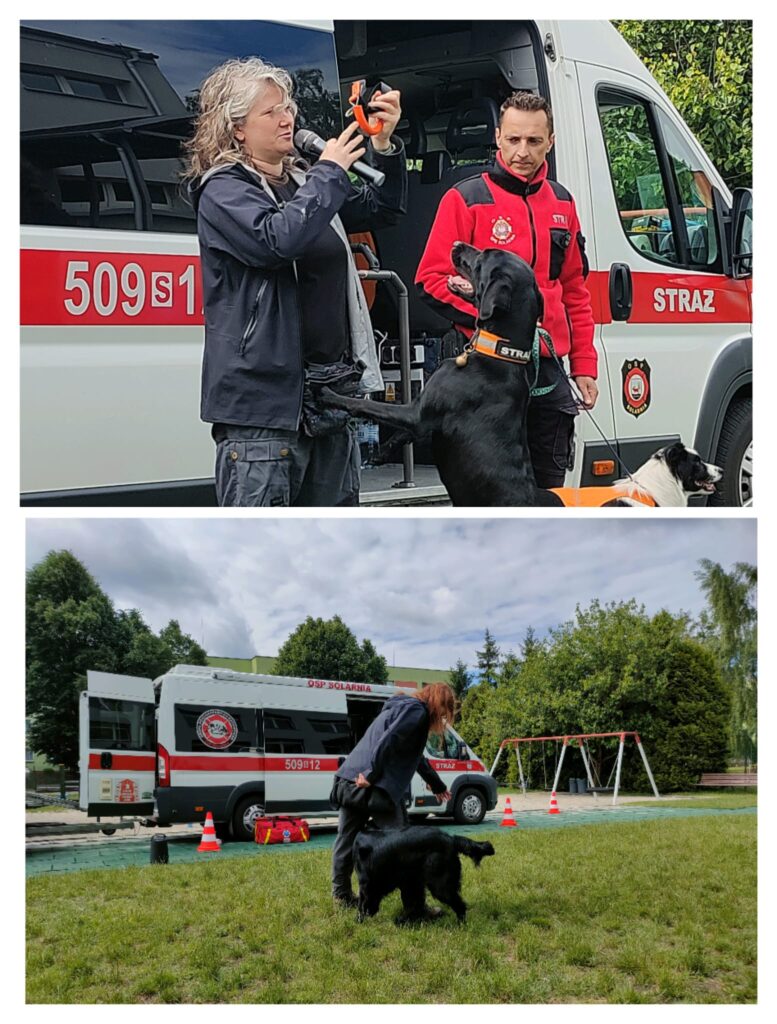 Psy prezentują swoje umiejętności poszukiwawcze.